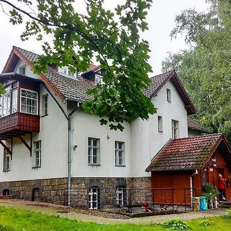 Brzozowy Gaj -