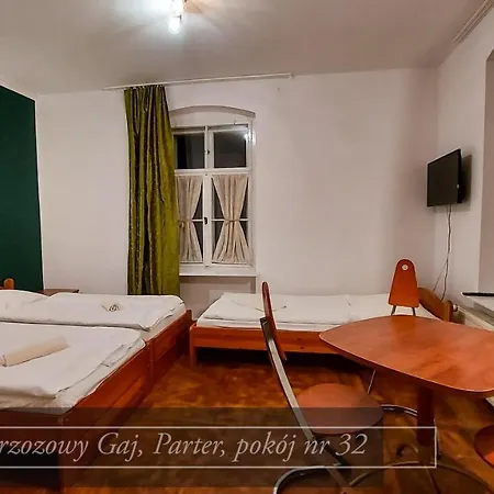 Brzozowy Gaj - Casa de hóspedes