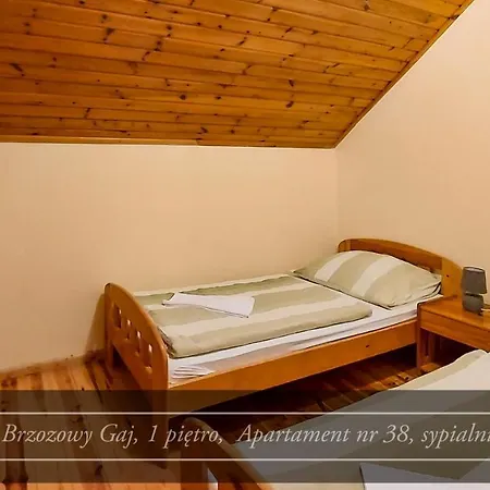 Brzozowy Gaj - *