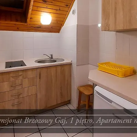 Brzozowy Gaj - Casa de hóspedes