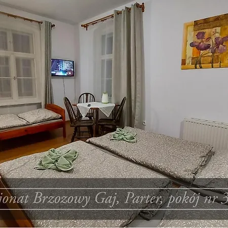 Brzozowy Gaj - * Karpacz
