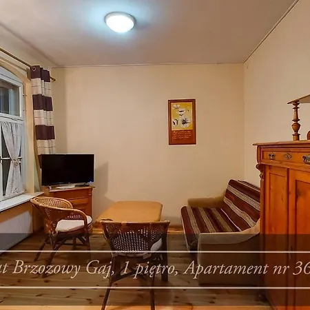 Casa de hóspedes Brzozowy Gaj - Karpacz