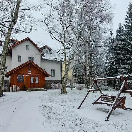 Brzozowy Gaj - Karpacz