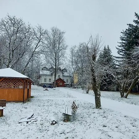 Brzozowy Gaj - *