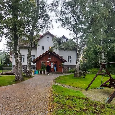 Guest house Brzozowy Gaj - *