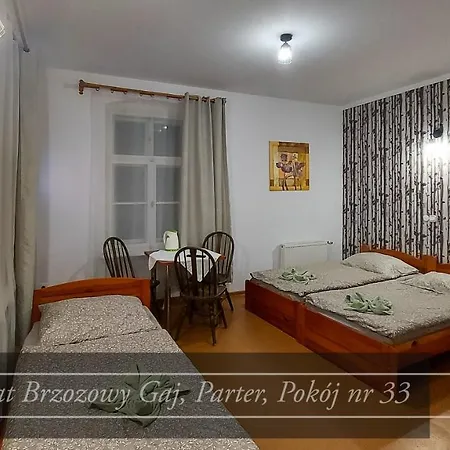 Guest house Brzozowy Gaj - Karpacz