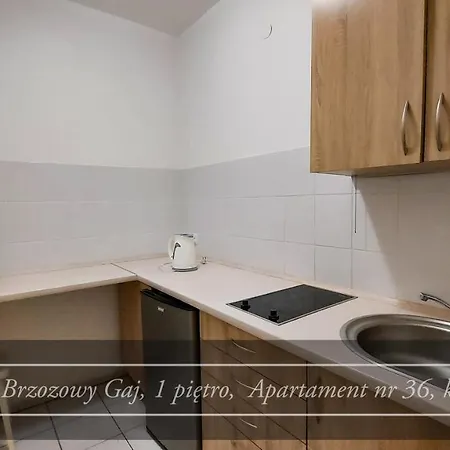Brzozowy Gaj - Guest house