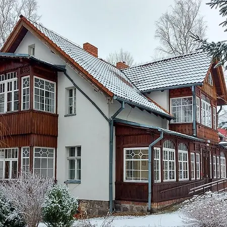 Brzozowy Gaj - Karpacz